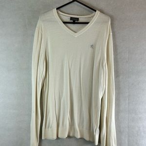 Express V neck beige long sleeve light sweater